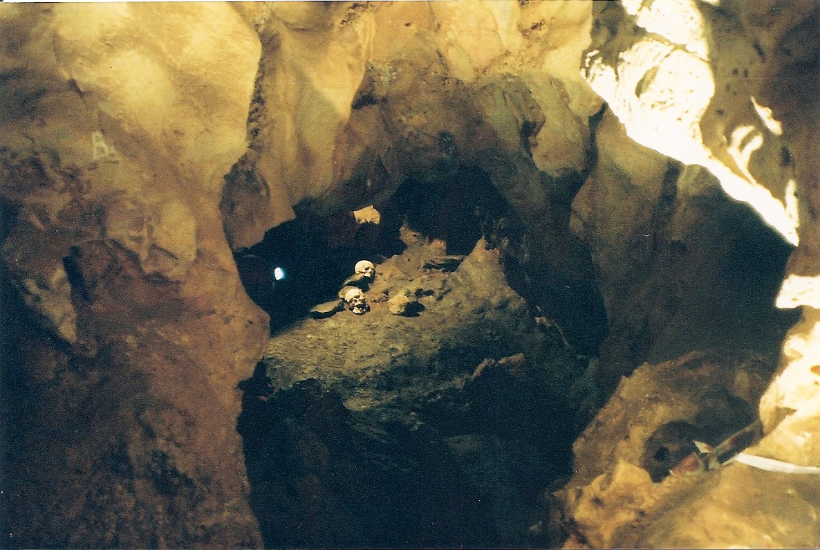 Réseau Fabresse. Reconstitution de la position des crânes