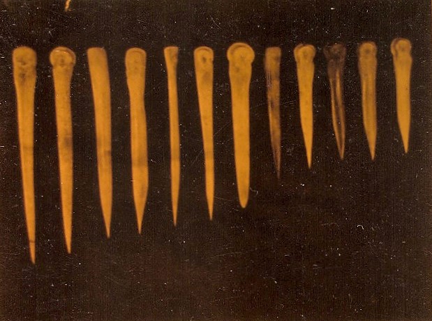Outillage en os. Néolithique moyen (-4000 -3000 ans)